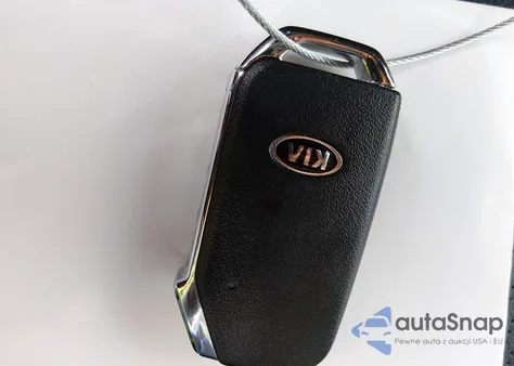 2020 Kia Telluride Sx z USA, uszkodzony, nr VIN 5XYP5DHC6LG046971